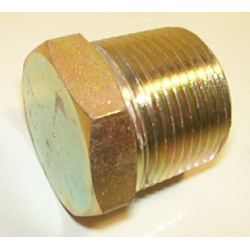 1'' NPT BLANKING PLUG